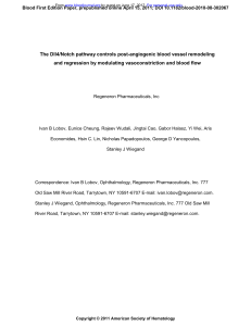 The Dll4/Notch pathway controls post-angiogenic