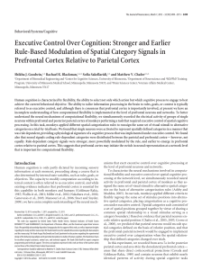 Executive Control Over Cognition: Stronger and Earlier Rule