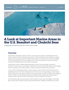 A Look at Important Marine Areas in the U.S. Beaufort and Chukchi