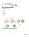 Guided Reading Questions