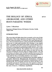 The Biology of Striga, Orobanche, and other Root