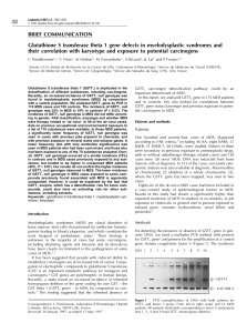 BRIEF COMMUNICATION Glutathione S transferase theta 1