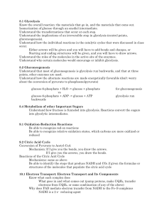 8.1 Glycolysis Know the overall reaction: the materials that go in