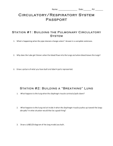 Circulatory/Respiratory System Passport
