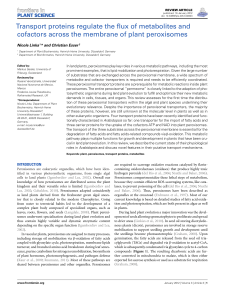 Transport proteins regulate the flux of metabolites and cofactors