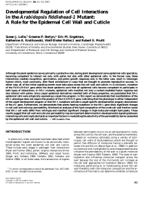 A Role for the Epidermal Cell Wall and Cut