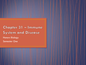 Chapter 31 Immune System and Diseases