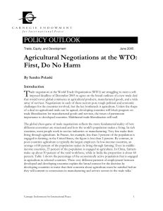 Agricultural Negotiations at the WTO: First, Do No Harm