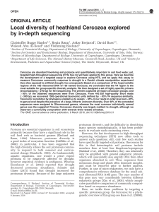 Local diversity of heathland Cercozoa explored by in-depth