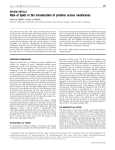 Role of lipids in the translocation of proteins across membranes