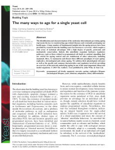 The many ways to age for a single yeast cell