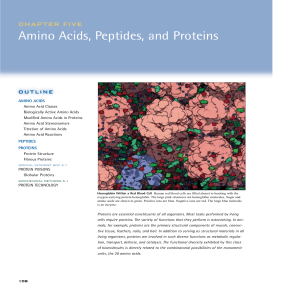 Sample Chapter 5: Amino Acids, Peptides, and Proteins