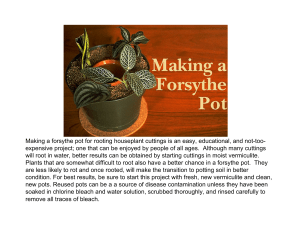 Making a Forsythe Pot - University of Minnesota Extension