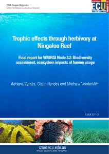 Trophic effects through herbivory at Ningaloo Reef