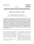 Comparison of Capillary Architecture between Slow and Fast