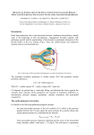 AEPC Heart Lung Interaction Handout