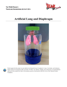 Artifical Lung and Diaphragm - Rochester Institute of Technology