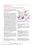 The Immune System - The JAMA Network
