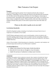 Plate Tectonics Unit Project