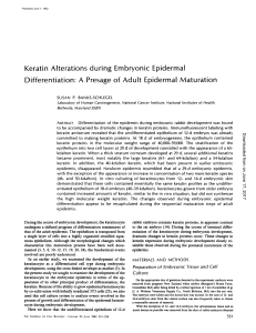 Keratin Alterations during Embryonic Epidermal Differentiation: A