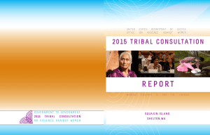 2015 Tribal Consultation Report