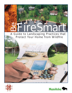 A Guide to Landscaping Practices that Protect Your Home from