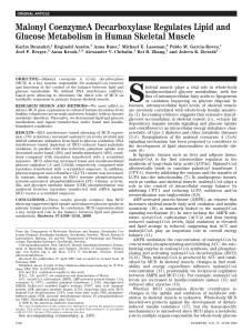 Malonyl CoenzymeA Decarboxylase Regulates Lipid and