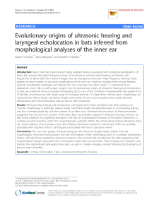 Evolutionary origins of ultrasonic hearing and laryngeal