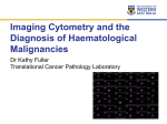 Imaging Cytometry and the Diagnosis of Haematological Malignancies