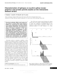 Characterization of epitopes on zucchini yellow mosaic potyvirus