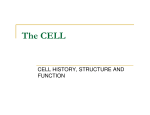 The CELL