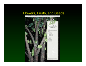 Unit 4 - Flowers, Fruits, Seeds