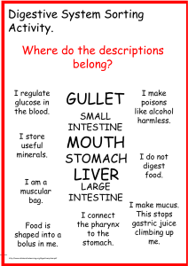 liver mouth gullet - Collaborative Learning Project