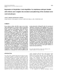 Expression of AmphiHox-1 and AmphiPax-1 in