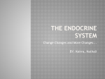 the endocrine system