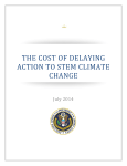 THE COST OF DELAYING ACTION TO STEM CLIMATE CHANGE