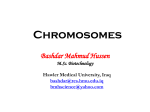 Chromosomes and Histone protein