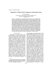 Organization of Organic Matrix Components in Mineralized Tissues`