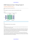 chapter_20_locomotion_and_movement