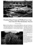 Promising Range Forage and Wildland Cover Crops from