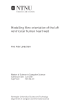 Modelling fibre orientation of the left ventricular human heart wall