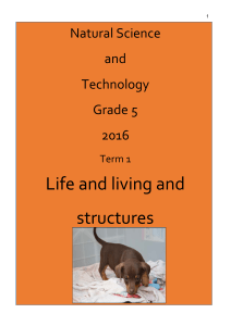 Life and living and structures