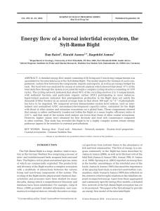Energy flow of a boreal intertidal ecosystem, the Sylt