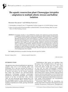The aquatic resurrection plant Chamaegigas intrepidus – adaptation