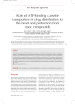 Role of ATP-binding cassette transporters in drug distribution to the
