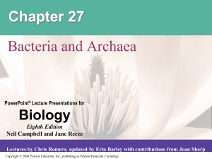 Bacteria - HCC Learning Web