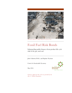 Fossil Fuel Risk Bonds - Center for Sustainable Economy