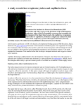 A study reveals how respiratory tubes and capillaries form