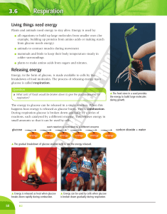 sample pages from Biology - Pearson Schools and FE Colleges