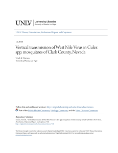 Vertical transmission of West Nile Virus in Culex spp. mosquitoes of